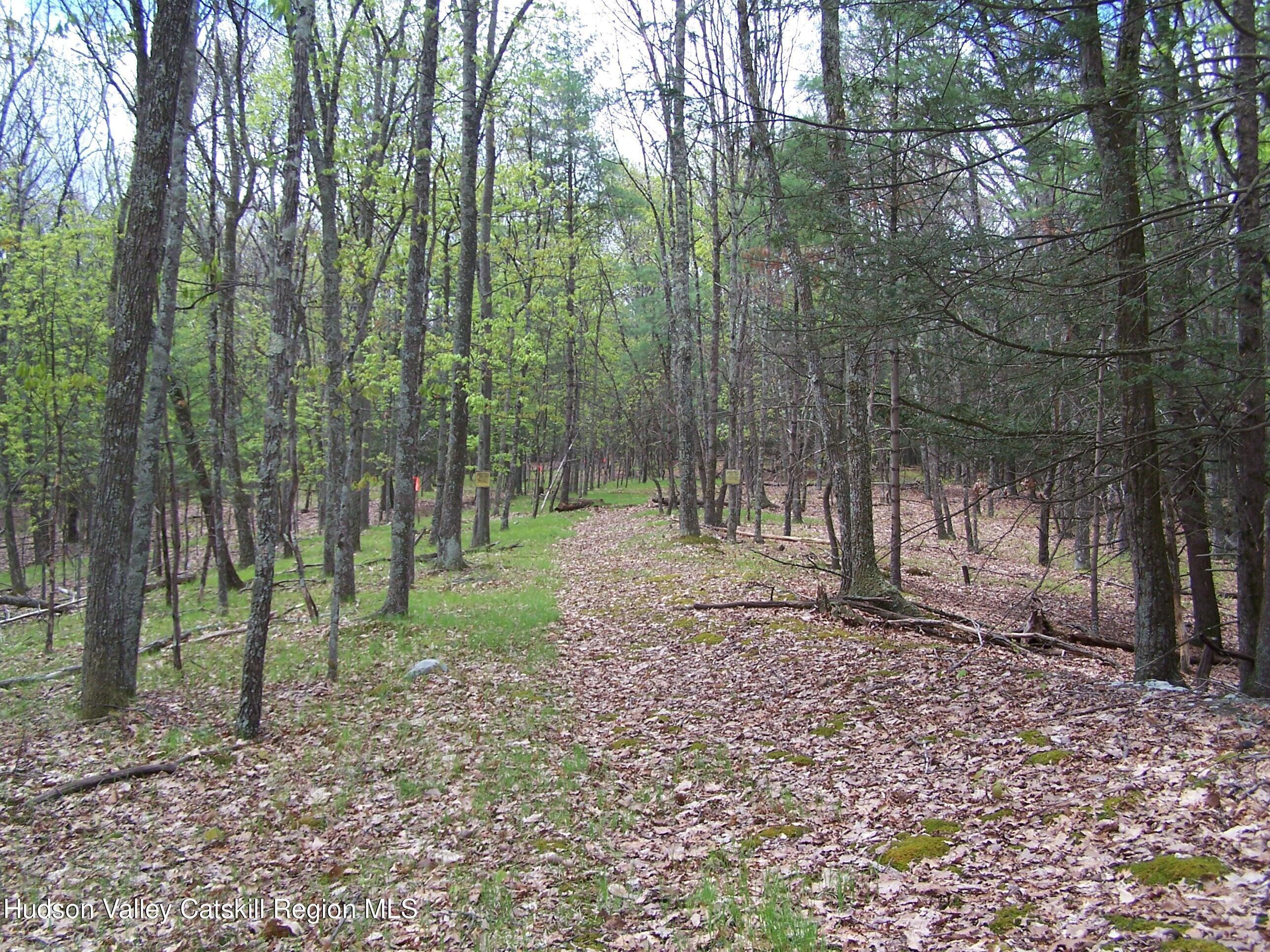 Tbd Heinle Road Kingston, NY 12401 - Photo 11 of 17 d11