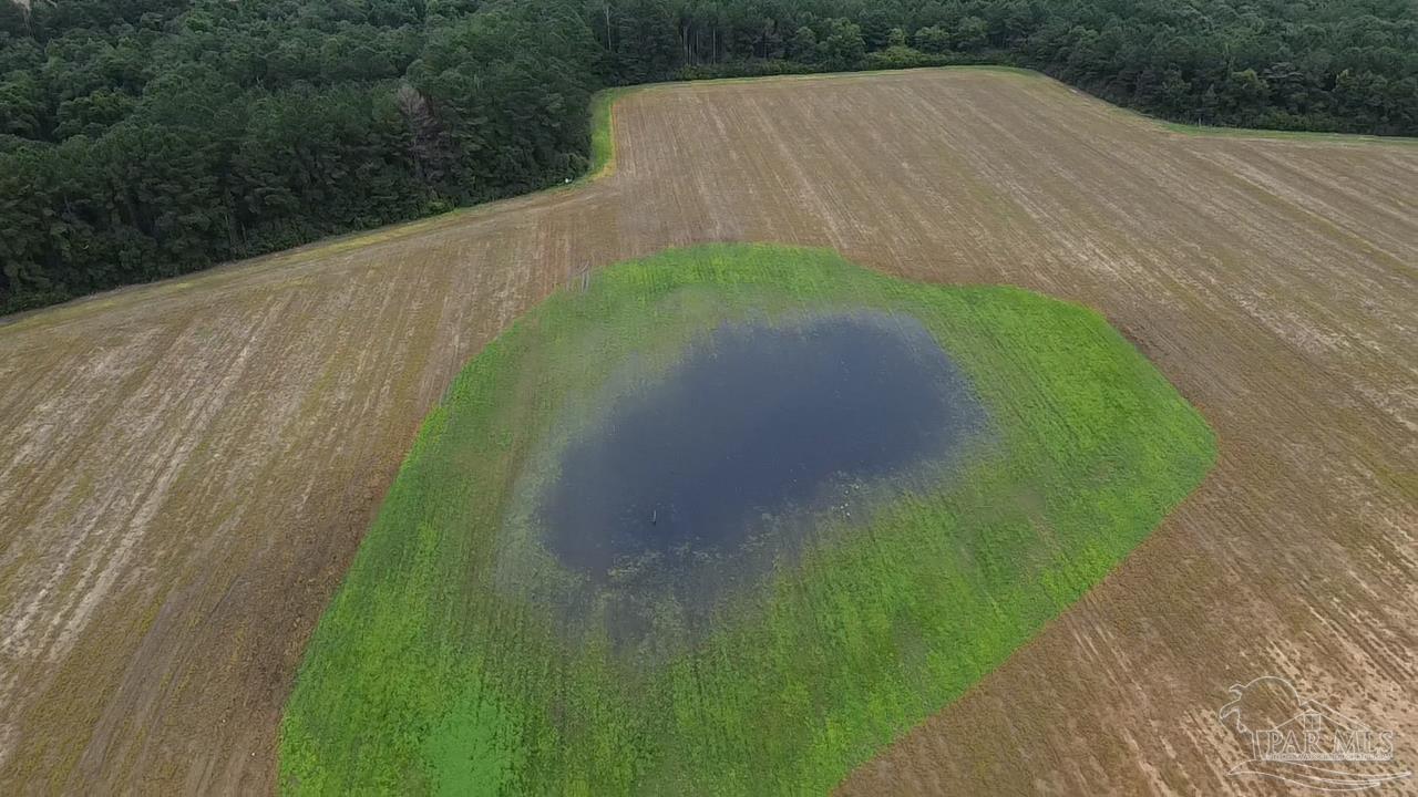 7600 Bratt Road Century, FL 32535 - Photo 10 of 41