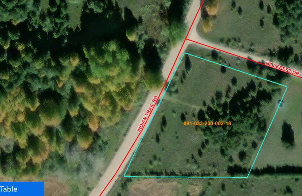 3201 Indian Trail Road Cheboygan, MI 49721 - Photo 2 of 9 3201 Indian Trail Rd-aerial
