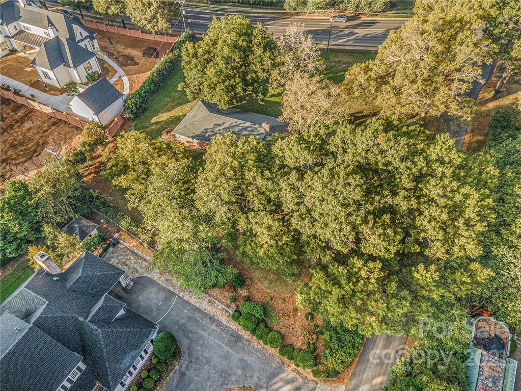 3301 Sharon Road Charlotte, NC 28211 - Photo 12 of 15 a picture of a tree with a yard