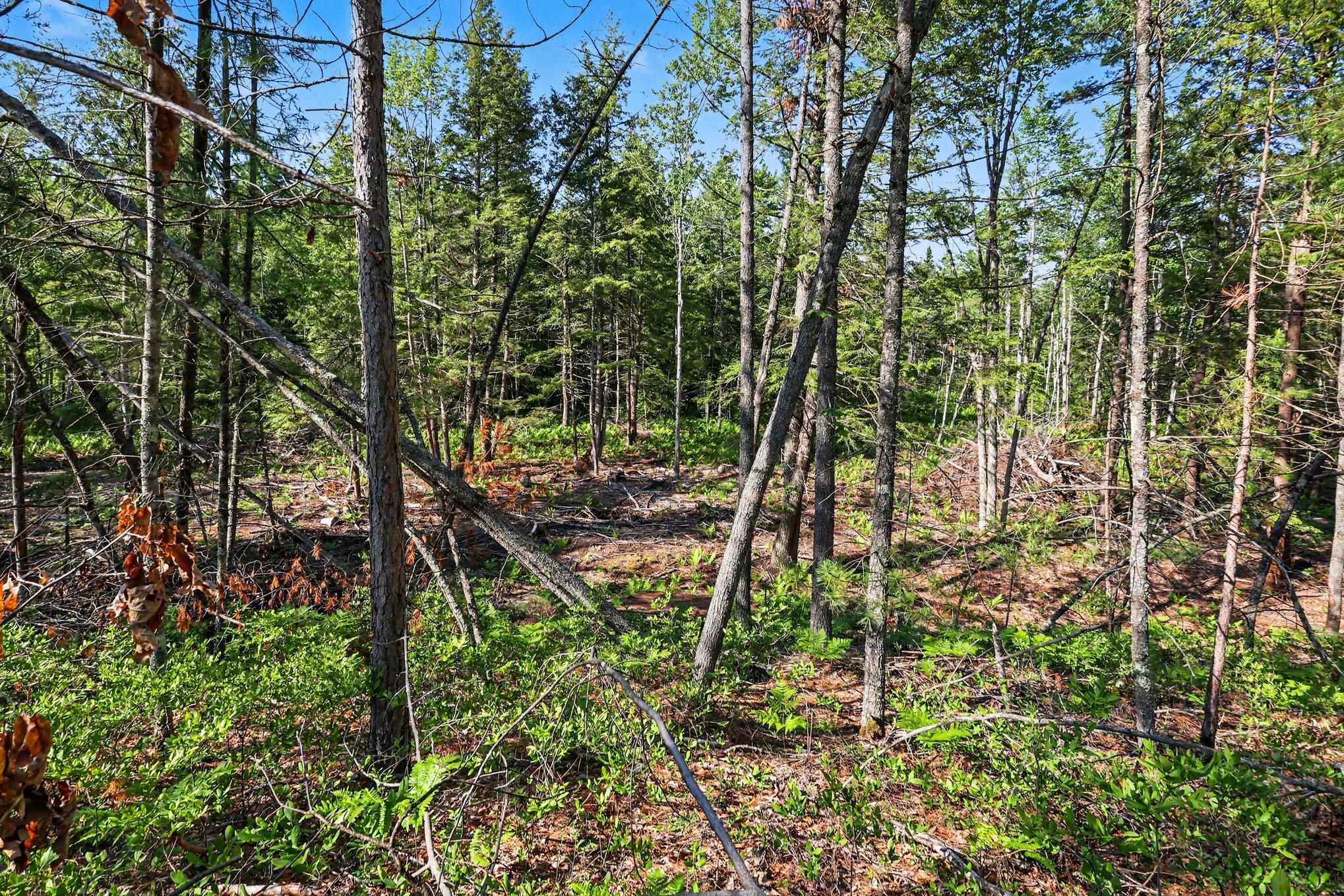 0 Fairview Road West Branch, MI 48661 - Photo 23 of 23