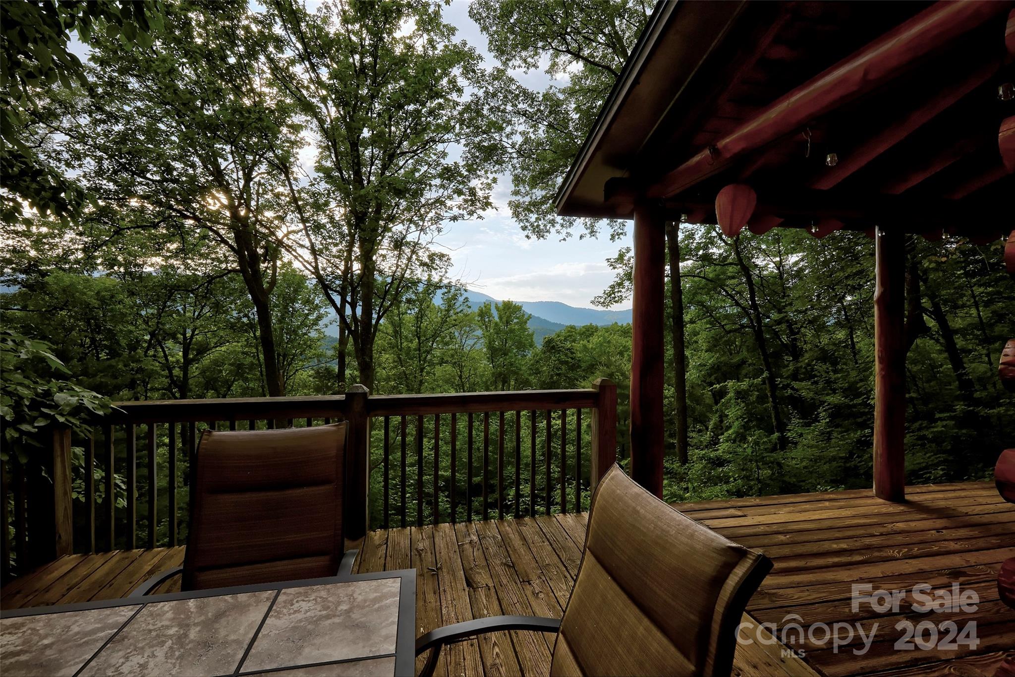 312 Wilkes Road Bryson City, NC 28713 - Photo 23 of 32