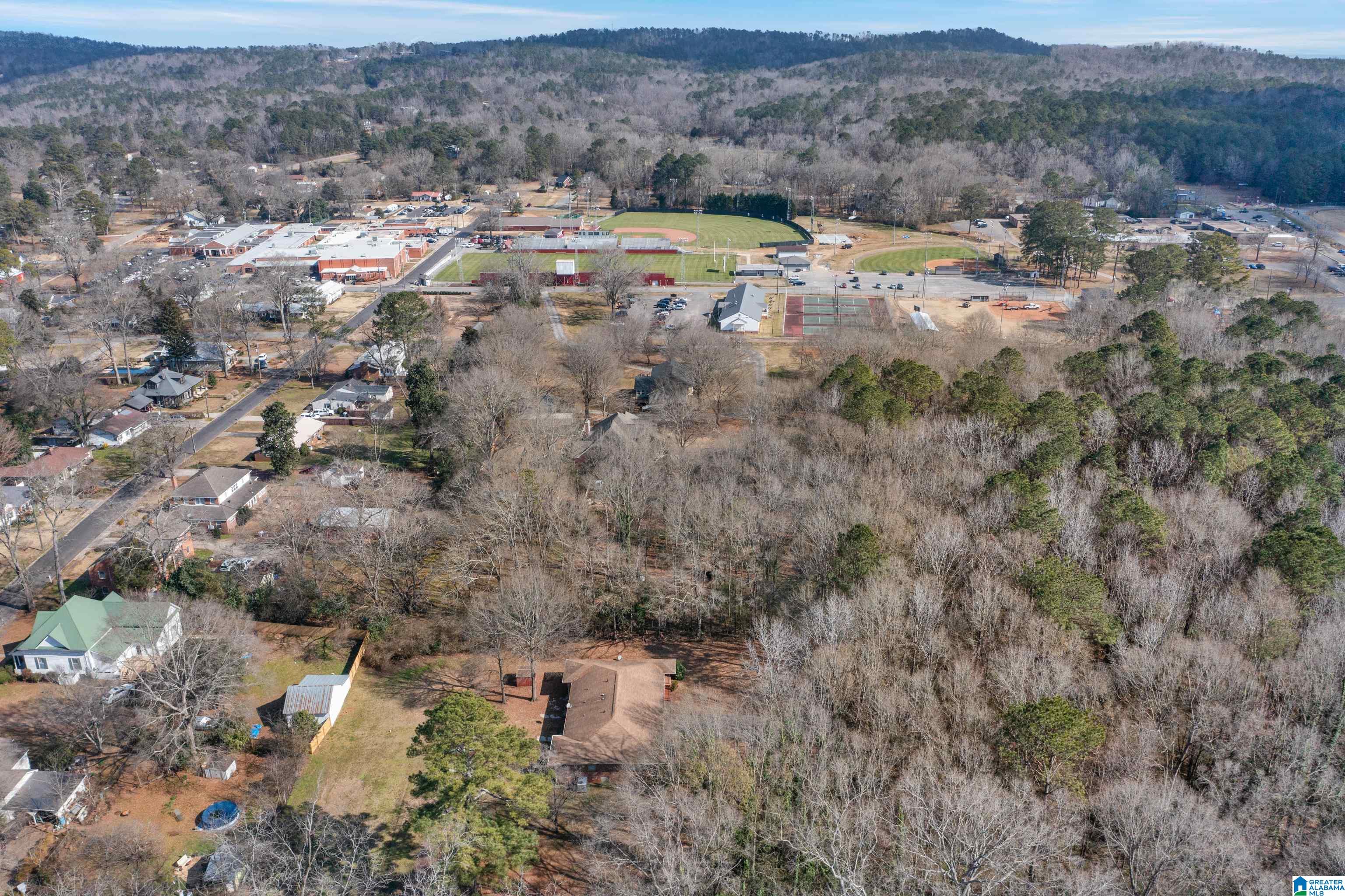 93 Richey Lane, Unit 3 & 4 Columbiana, AL 35051 - Photo 36 of 39