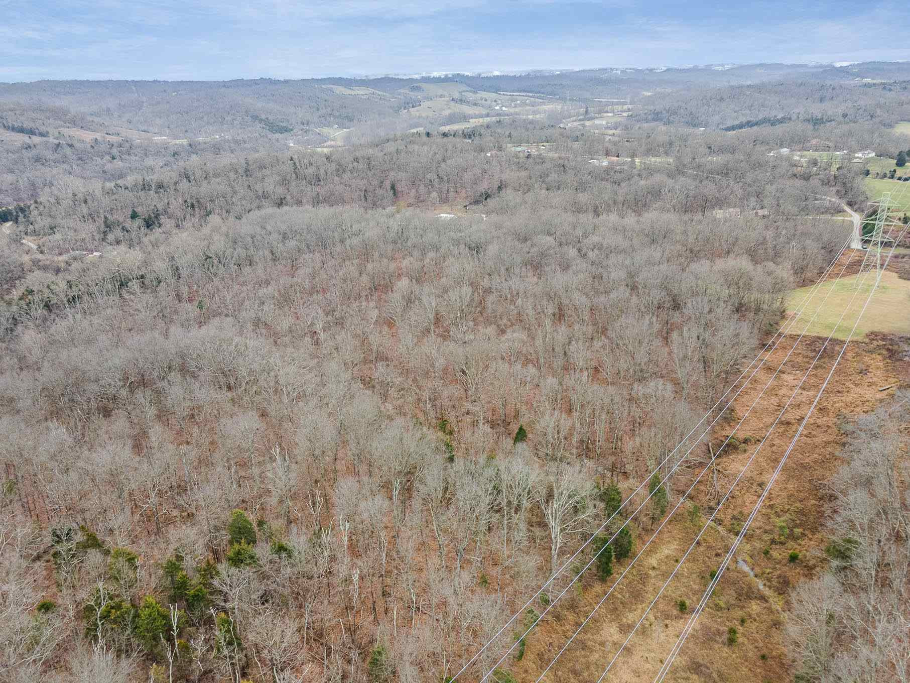 Parcel #1 Parcel Road California, KY 41007 - Photo 5 of 8