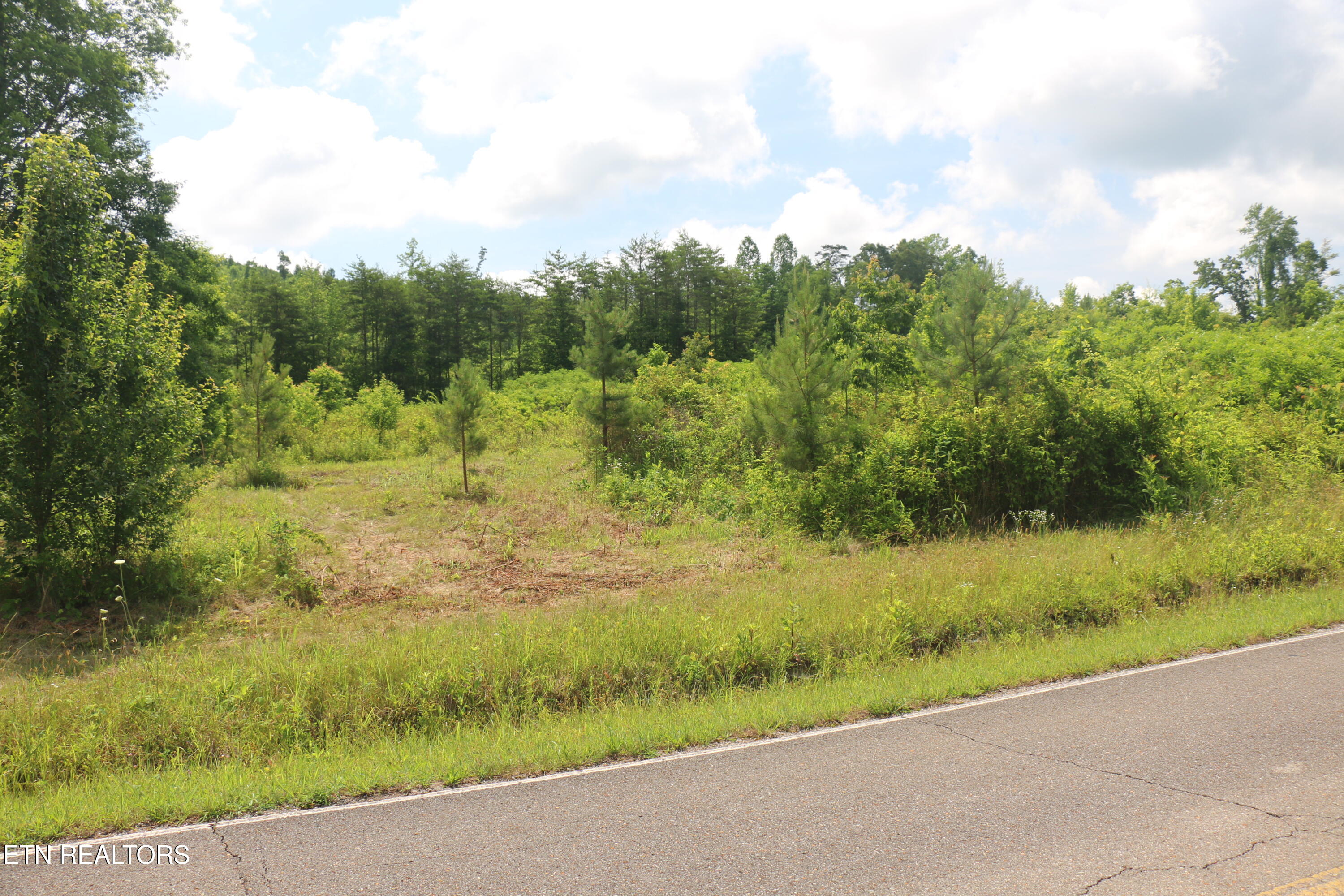 1 North Nopone Valley Road Decatur, TN 37322 - Photo 6 of 8 IMG_8458