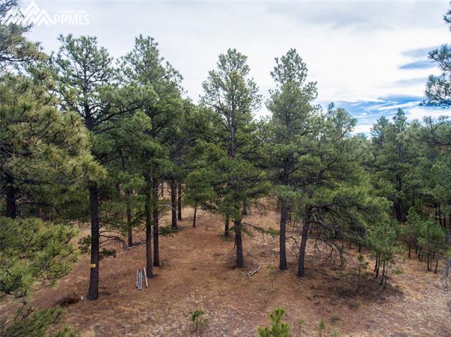 16355 Meridian Road Elbert, CO 80106 - Photo 3 of 8 Gallery Image 3