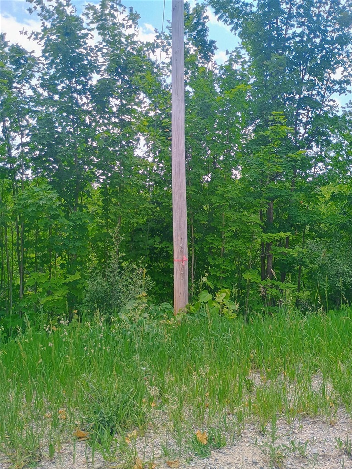 0 Pontius Road Kalkaska, MI 49646 - Photo 2 of 4
