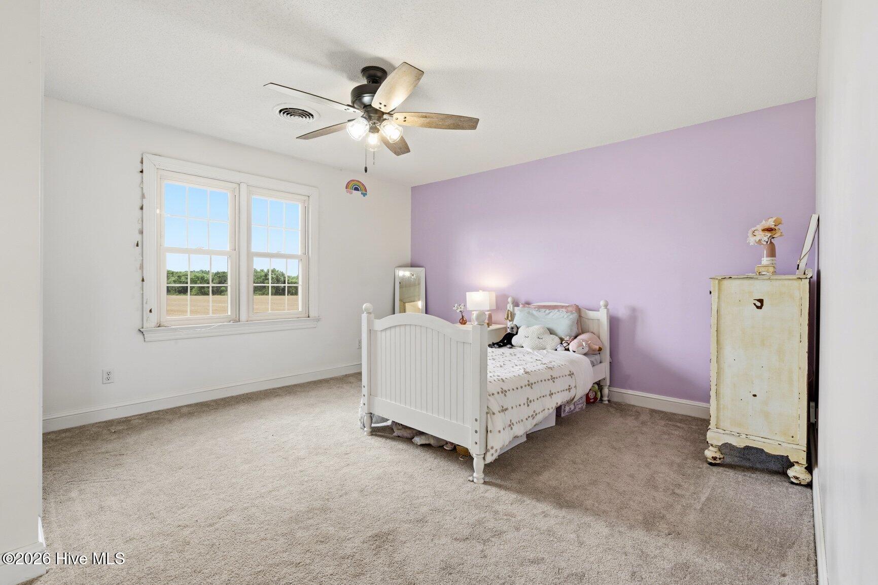 3295 Nobles Mill Pond Road Rocky Mount, NC 27801 - Photo 36 of 58 Bedroom 3