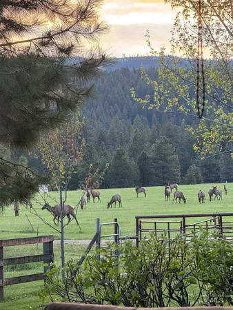 $950,000 | 15 Skyline Lane, Garden Valley, ID 83622