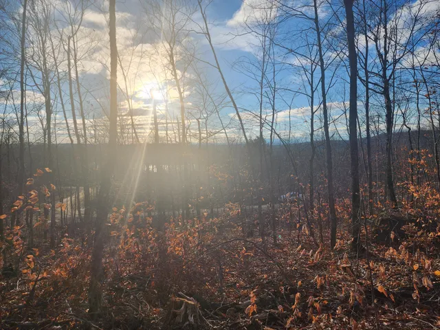 $29,900 | Lot 7 Sleeper Road, Island Falls, ME 04747