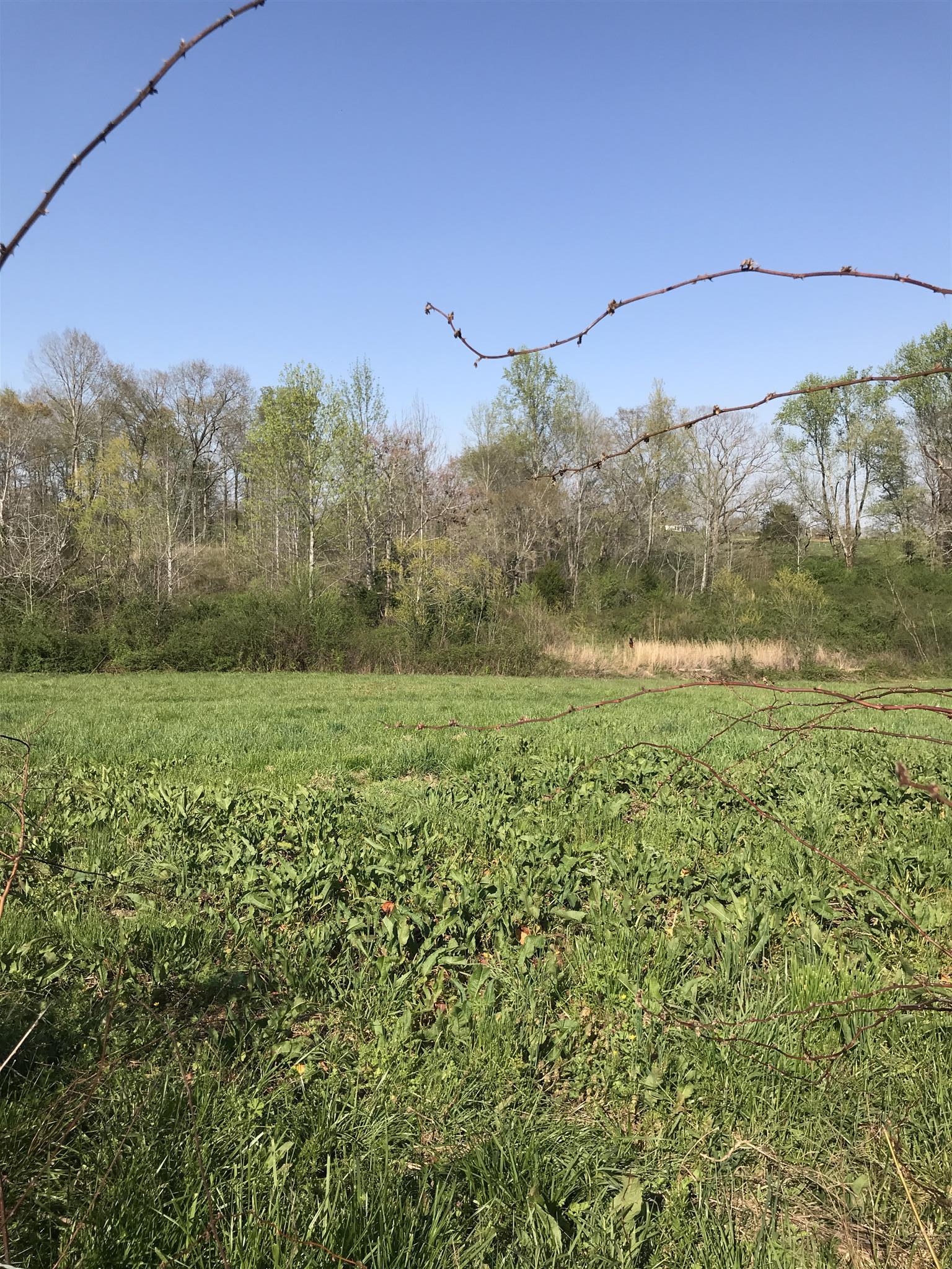 82 Five Points Road Loretto, TN 38469 - Photo 21 of 24 a view of a field with an ocean