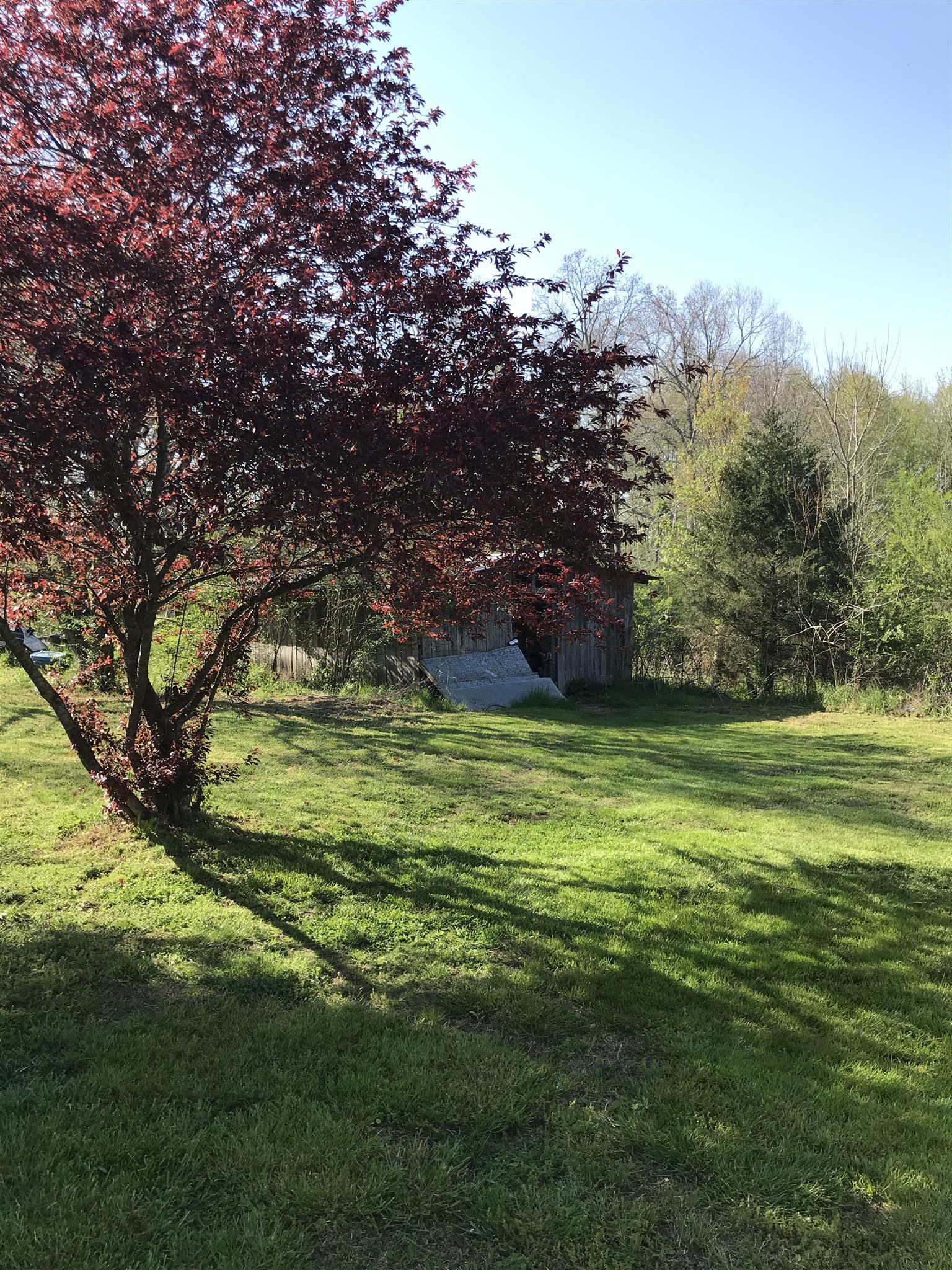 82 Five Points Road Loretto, TN 38469 - Photo 22 of 24 a view of a trees in a yard