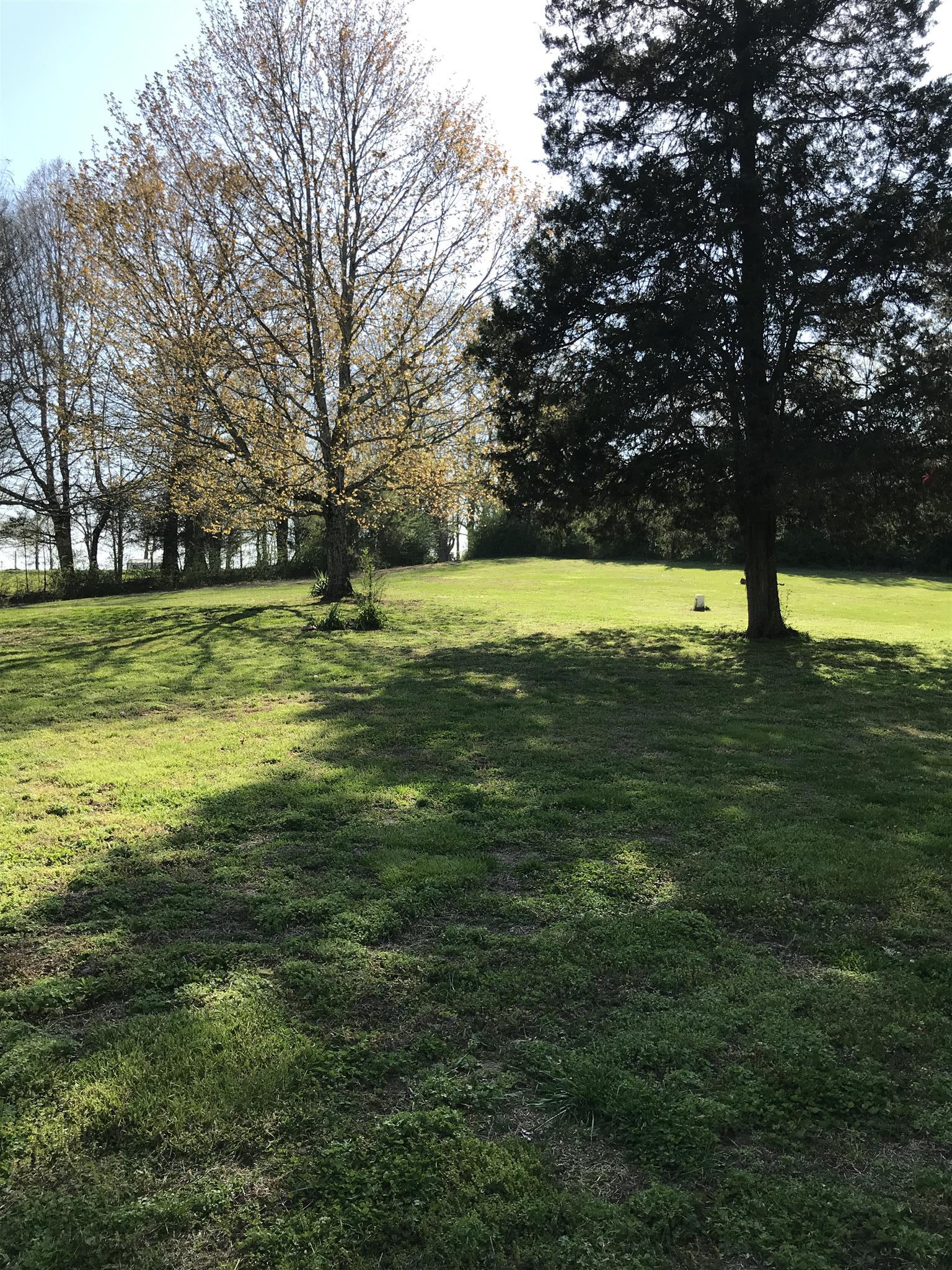 82 Five Points Road Loretto, TN 38469 - Photo 23 of 24 a view of a trees in a yard