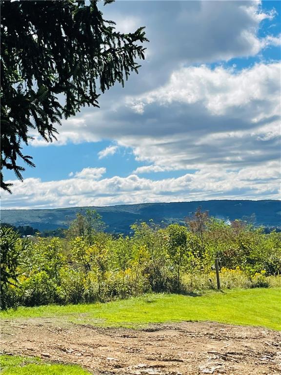 558 Hickory Square Road Connellsville, PA 15425 - Photo 5 of 25 a view of a yard with an outdoor space