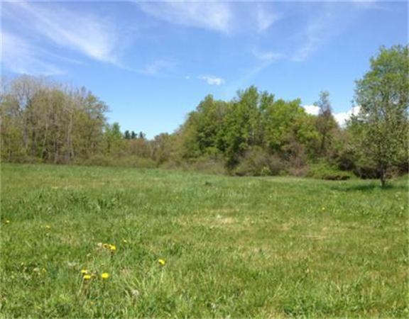 84 Warwick Road Northfield, MA 01360 - Photo 30 of 30 a view of a field of grass and trees