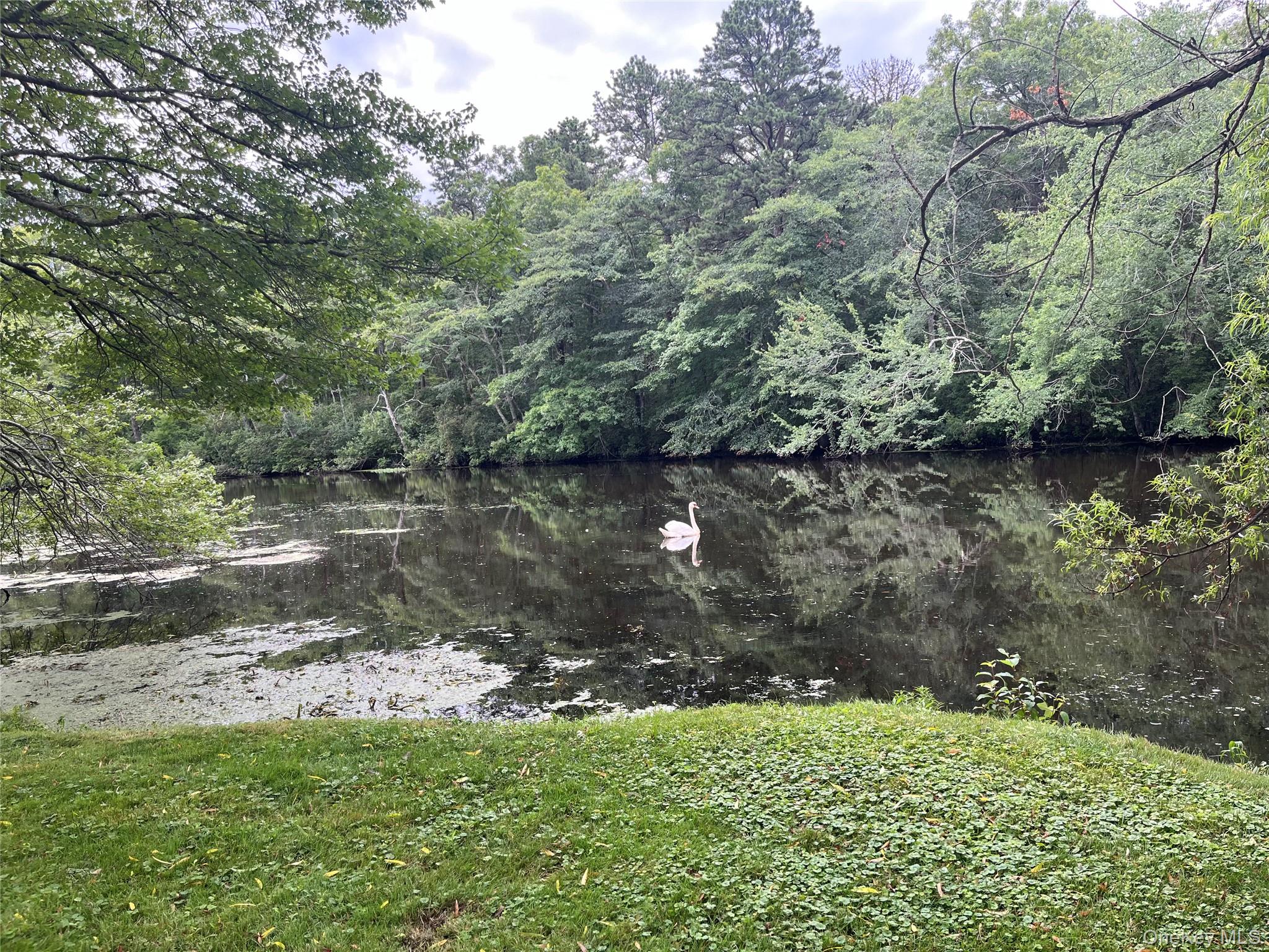 61 Forge Road, Unit 29 Riverhead, NY 11901 - Photo 33 of 38 a view of a lake with a yard