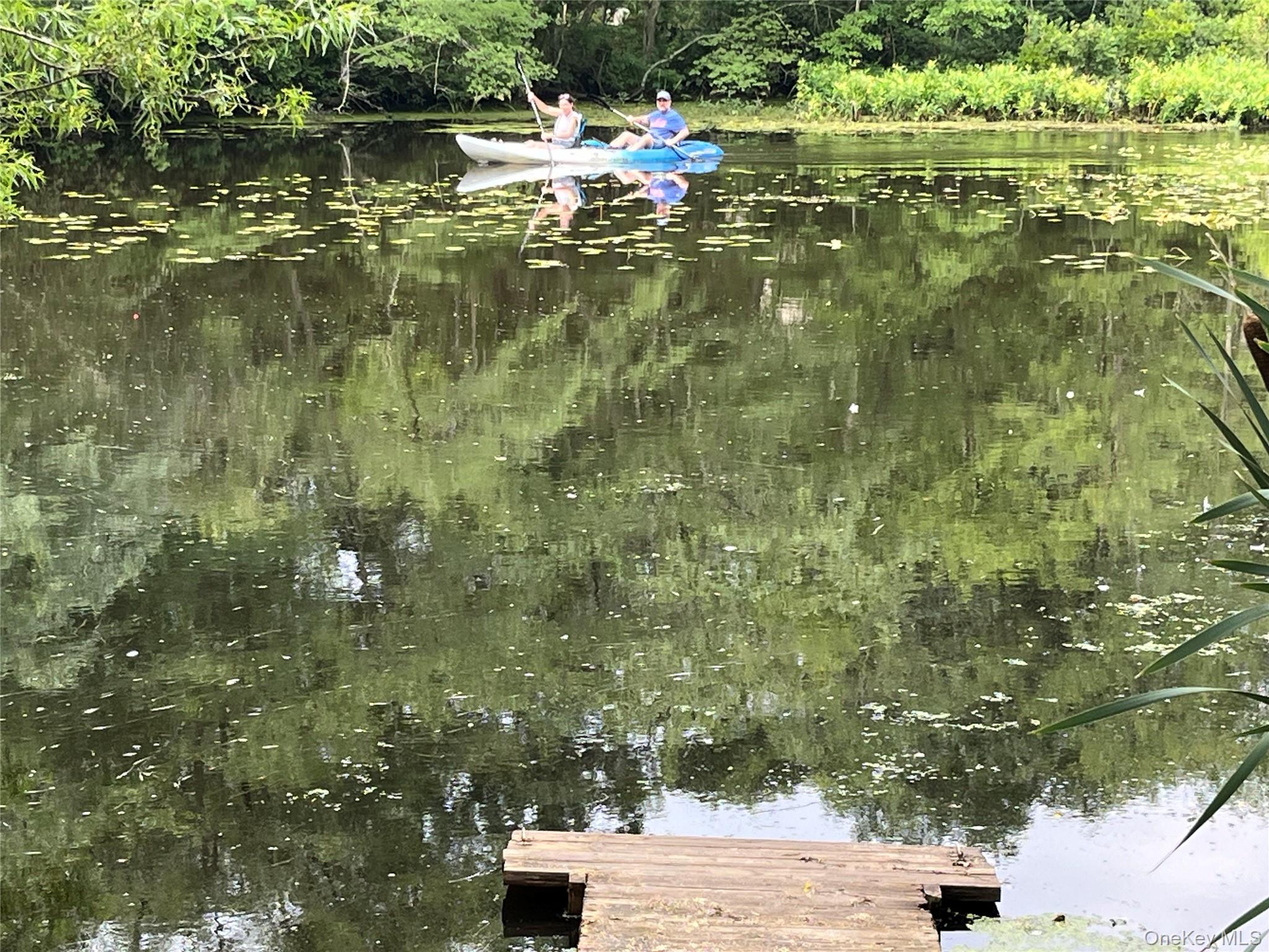 61 Forge Road, Unit 29 Riverhead, NY 11901 - Photo 37 of 38 a view of lake view