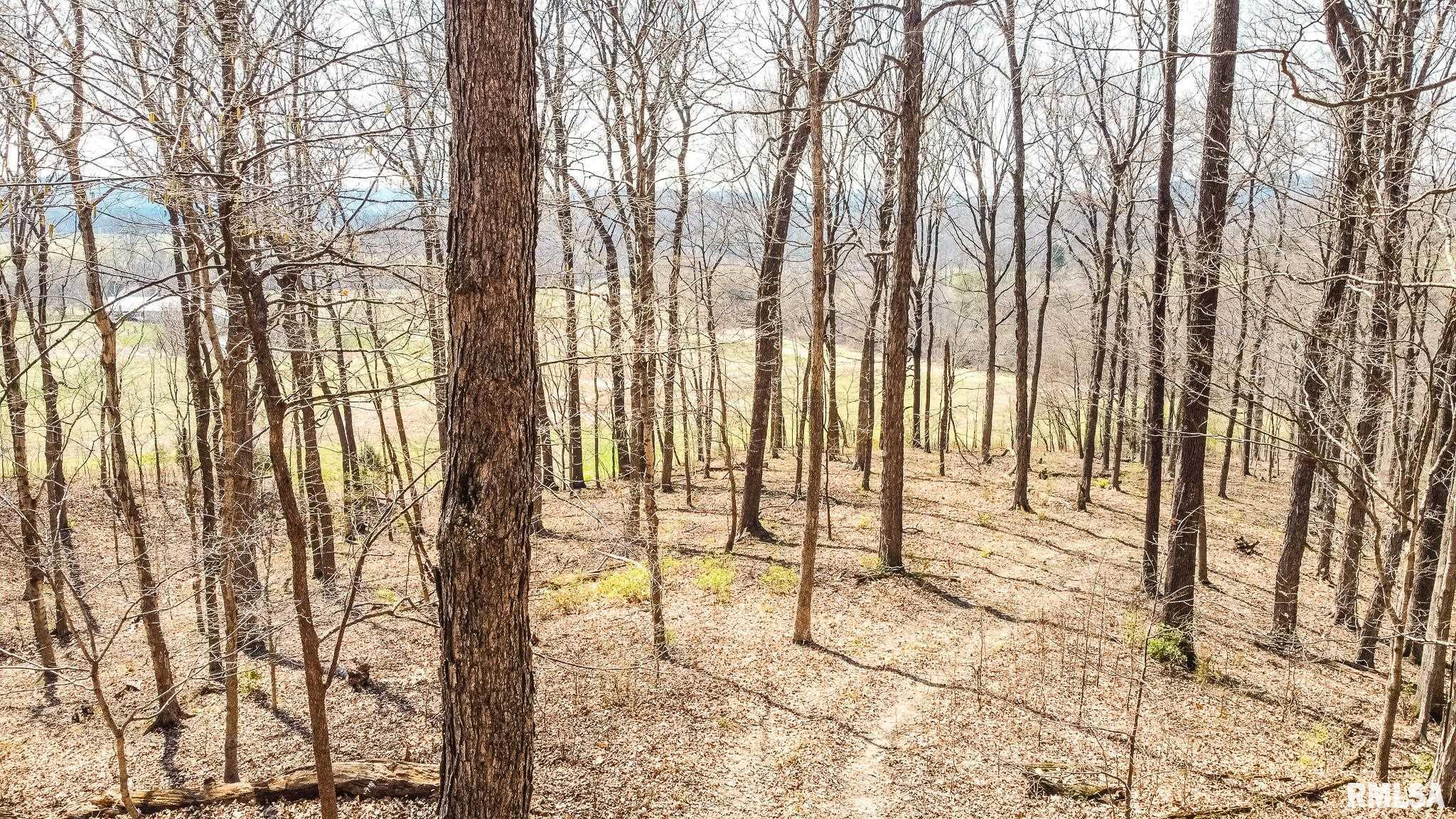 Tbd Berryville Road Jonesboro, IL 62952 - Photo 15 of 47 Gallery Image 15
