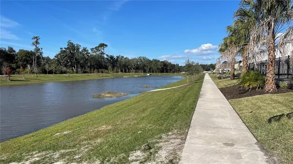 a view of a lake with a floor to palm trees
