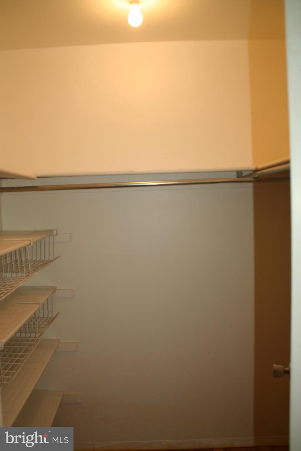 1350 Northgate Square Reston, VA 20190 - Photo 12 of 20 Large Walk-in Closet