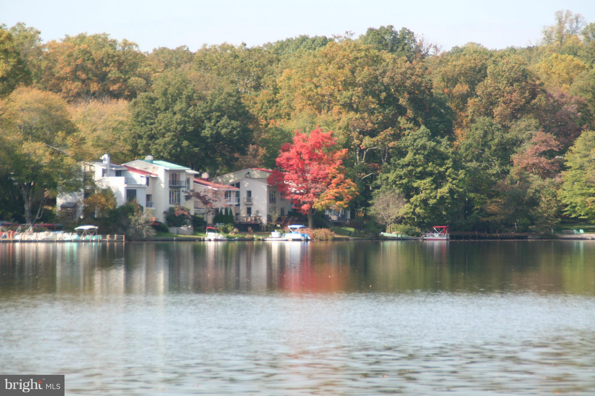 1350 Northgate Square Reston, VA 20190 - Photo 15 of 20 Lake Anne - Bring a Kayak