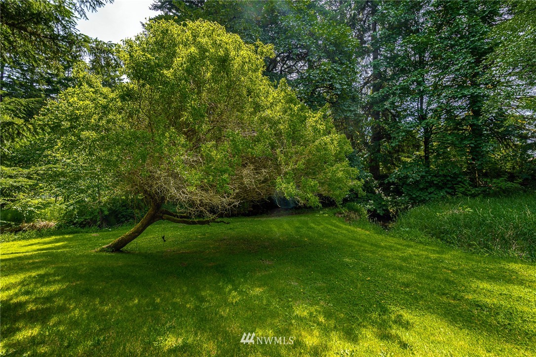 1561 King Road Winlock, WA 98596 - Photo 7 of 23 a view of a trees with a yard