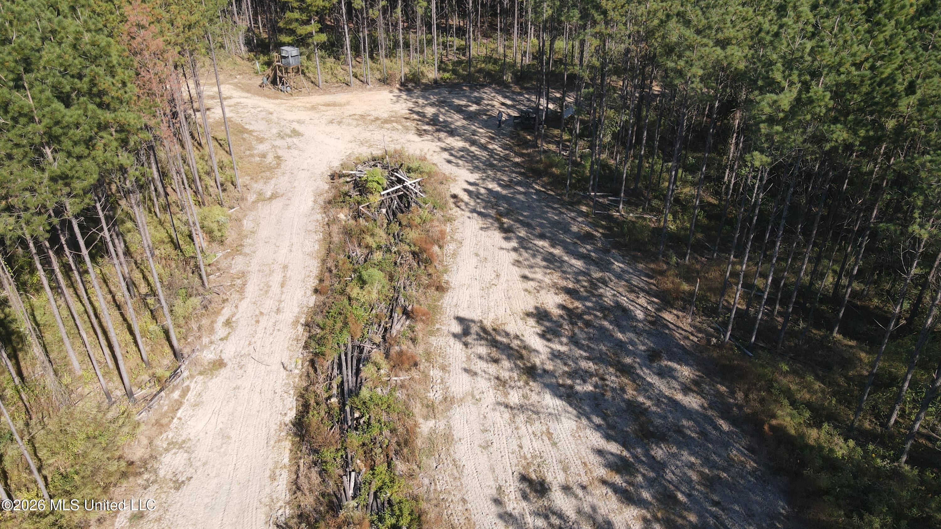 Loyd Irby Road Pelahatchie, MS 39145 - Photo 16 of 30 DJI_0220