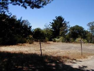 450 Upper Road San Rafael, CA 94903 - Photo 3 of 3 a view of a yard