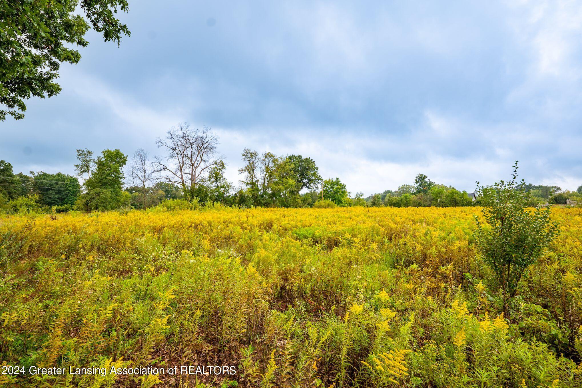 3630 Milner Road Stockbridge, MI 49285 - Photo 22 of 23 Land
