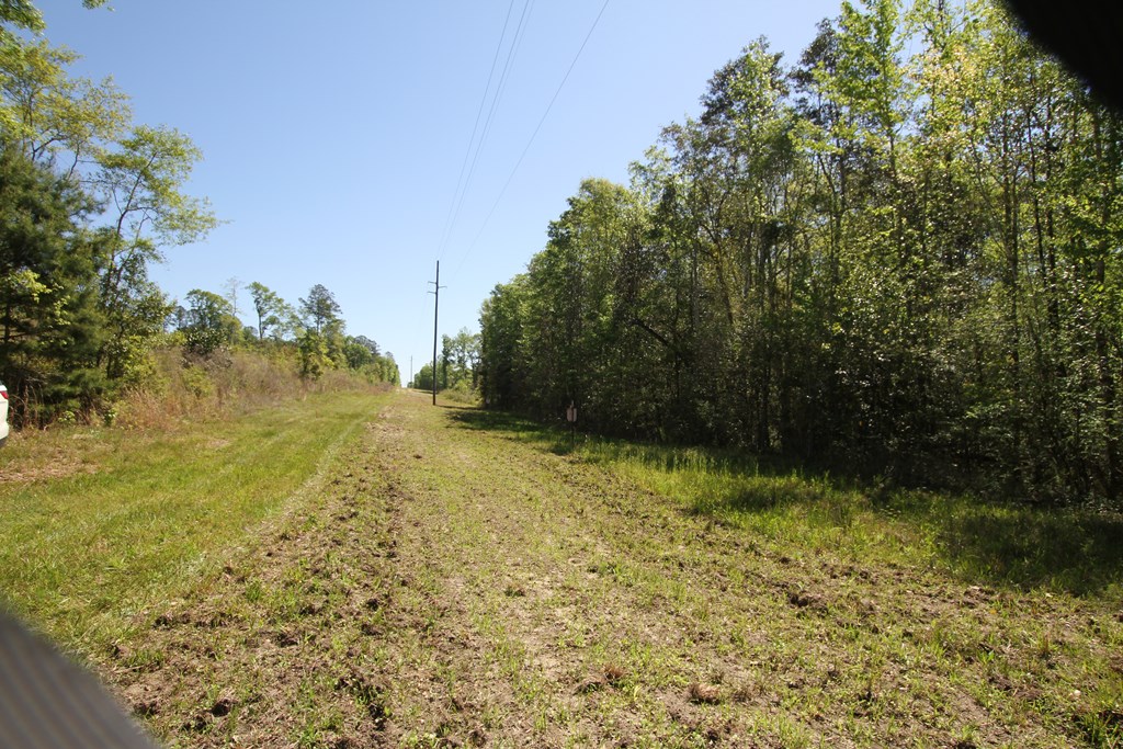 2500 Dean Church Road Ozark, AL 36360 - Photo 8 of 16