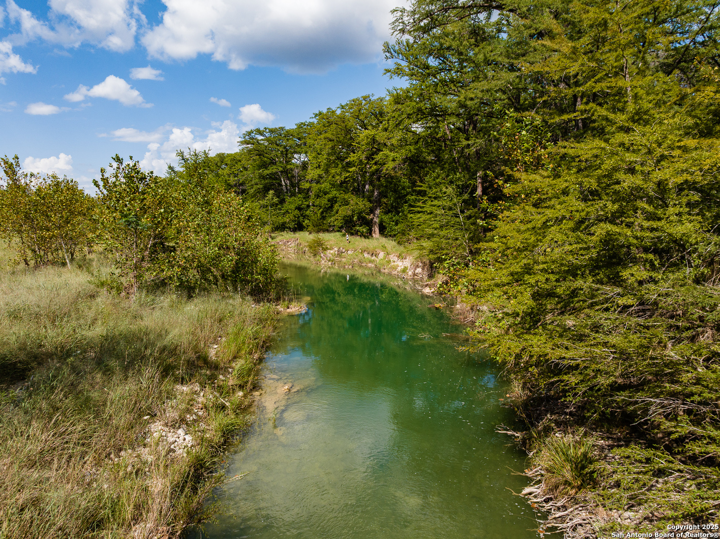 667 Medina Bend Road Medina, TX 78055 - Photo 37 of 40 a view of a garden