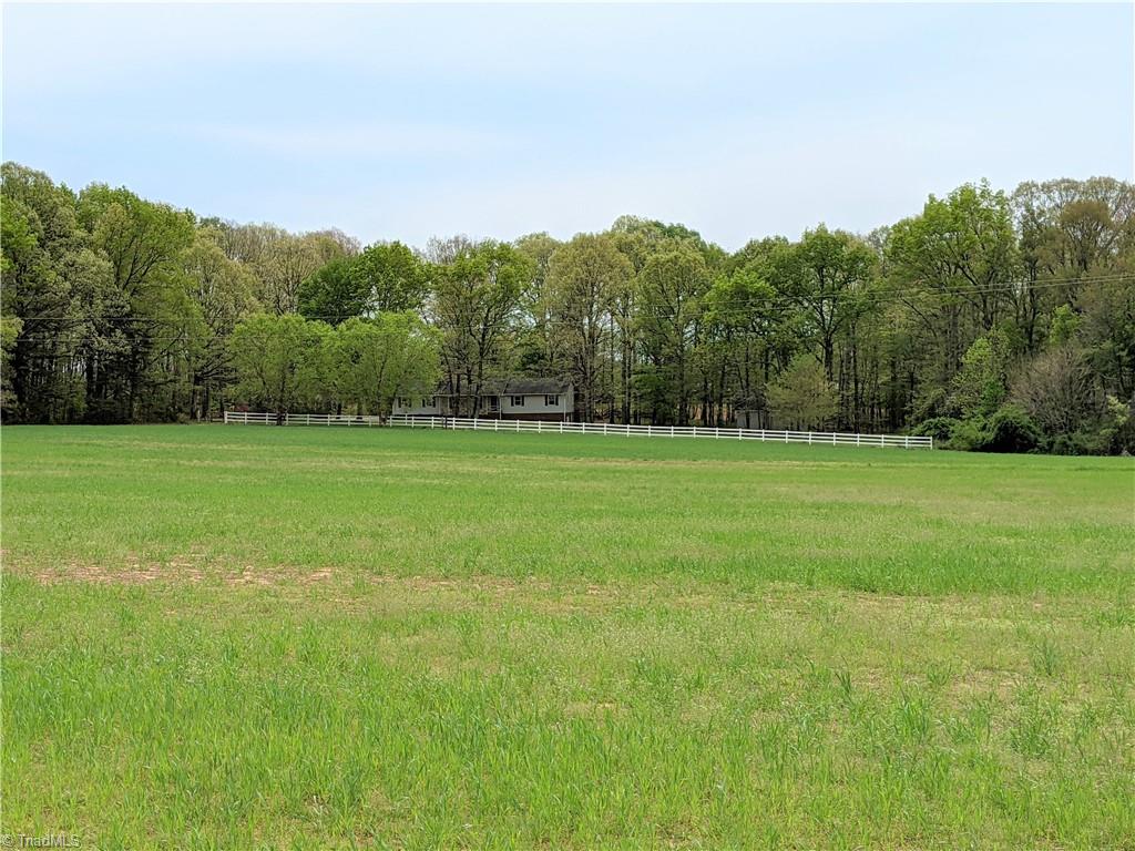 9163 Idol Cox Road Colfax, NC 27235 - Photo 3 of 25 Gallery Image 3