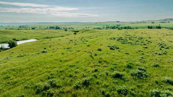 $150,000 | Lane, Sheridan, WY 82801