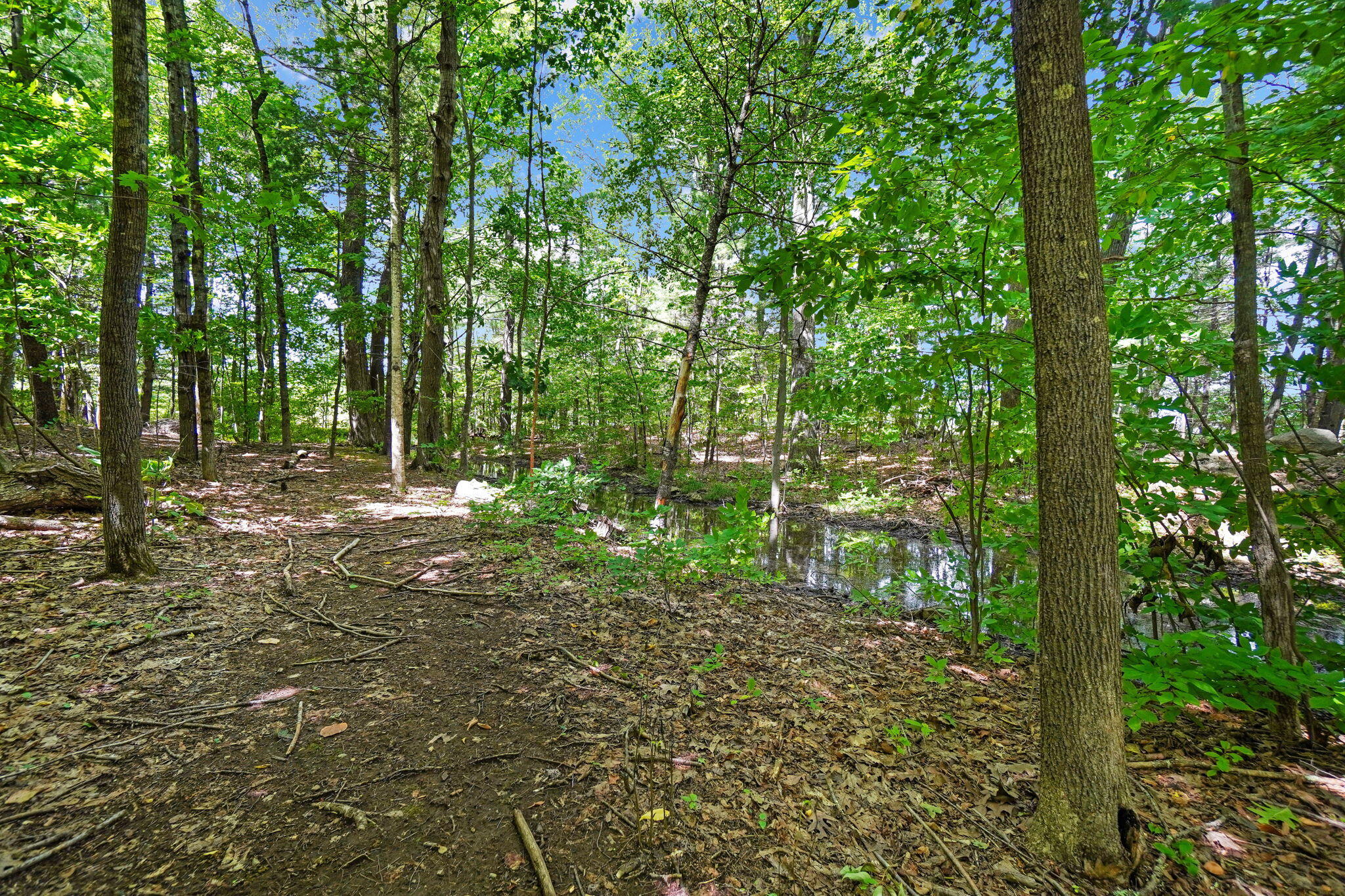 27 Dow Road Gorham, ME 04038 - Photo 21 of 58 Backyard wilderness