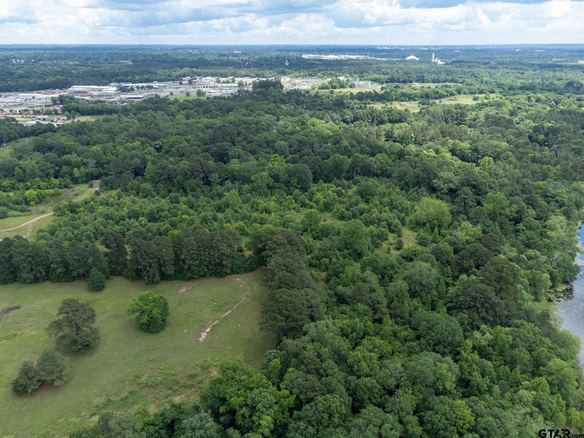 Tbd Dancinger Road Longview, TX 75603 - Photo 15 of 21 a view of a green field with lots of green space