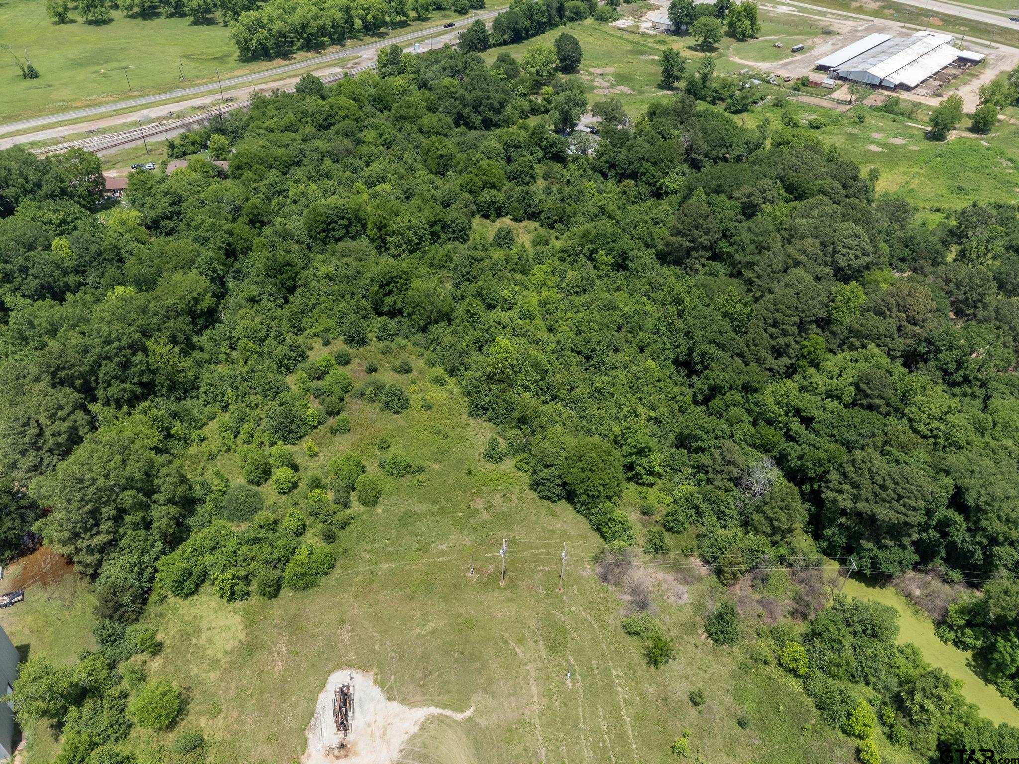 Tbd Dancinger Road Longview, TX 75603 - Photo 5 of 21 a view of a lush green forest with lots of trees