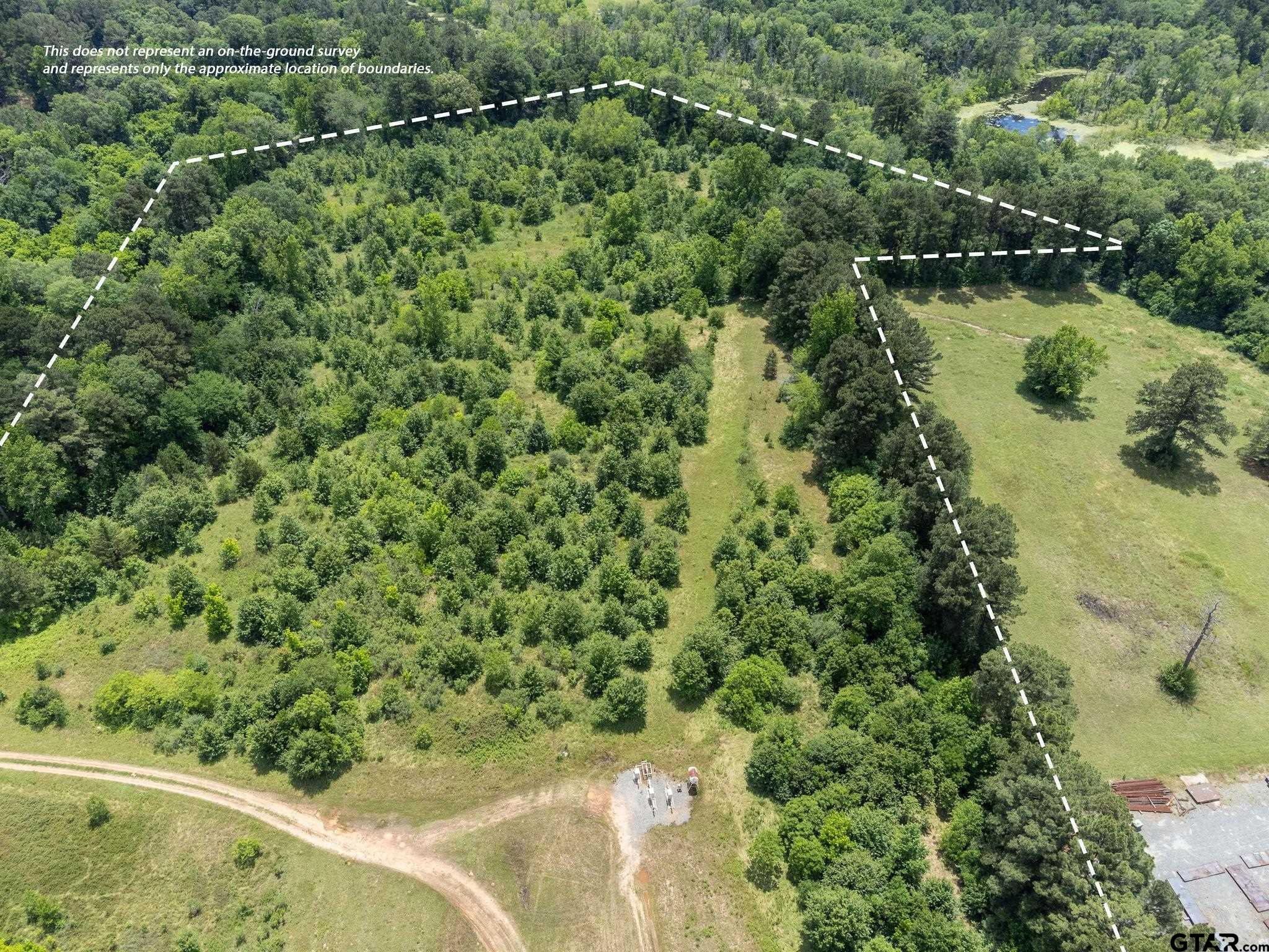 Tbd Dancinger Road Longview, TX 75603 - Photo 6 of 21 a view of a forest that has a tree