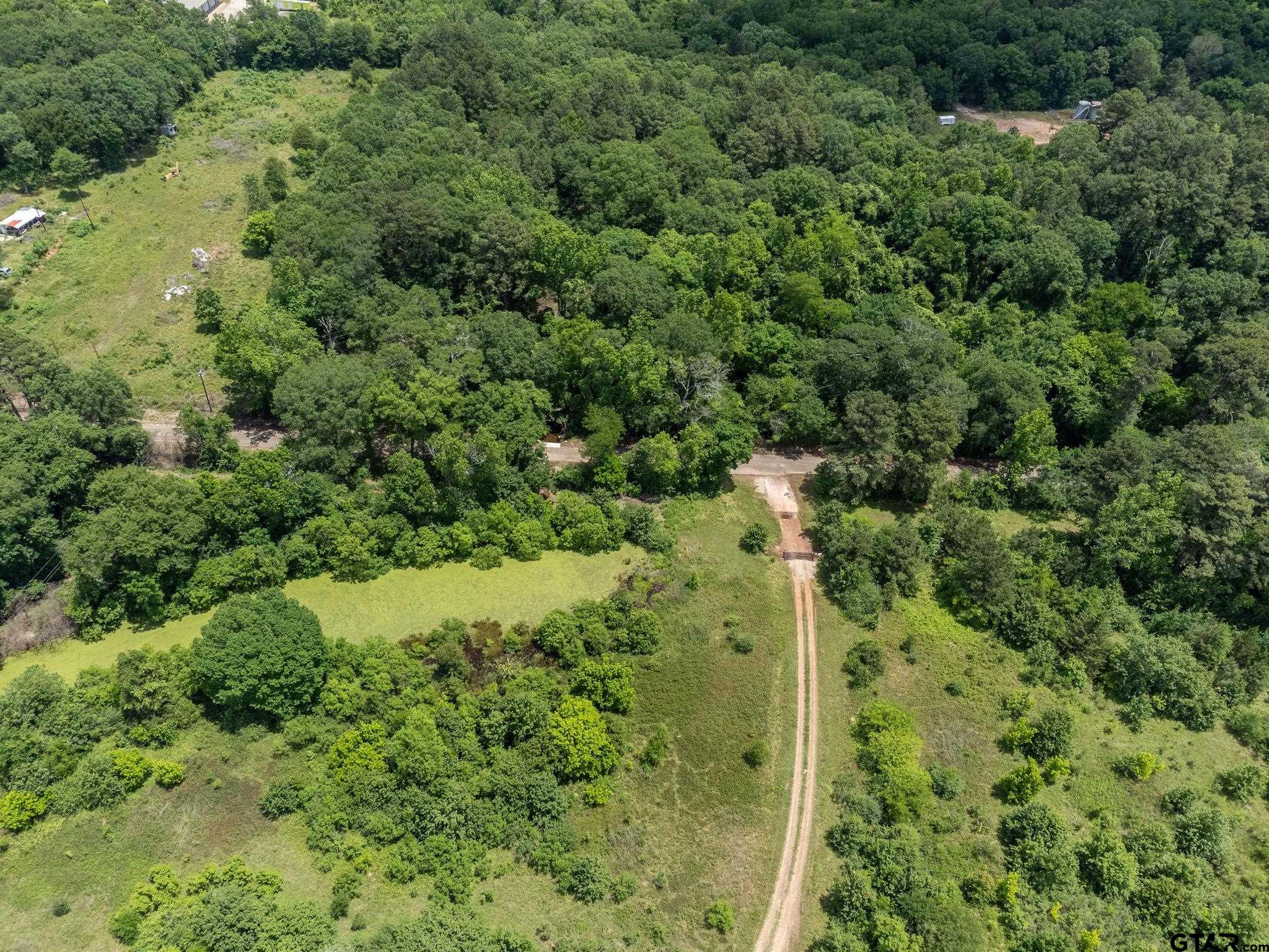 Tbd Dancinger Road Longview, TX 75603 - Photo 9 of 21 a view of a forest with a house