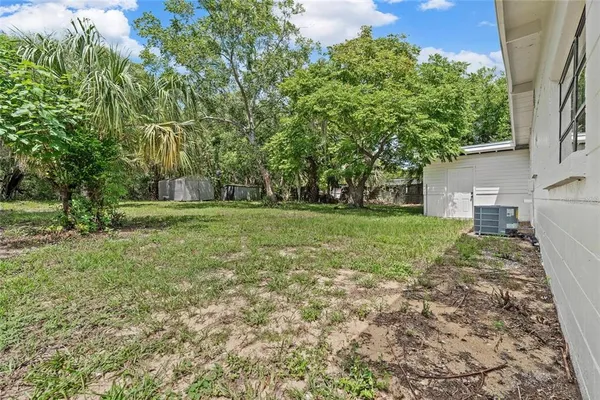 a view of a backyard with large trees