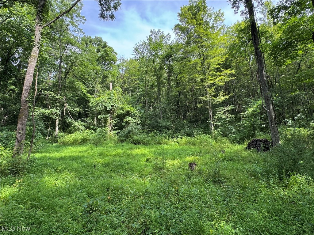 437 Township Road Dresden, OH 43821 - Photo 13 of 35 Gallery Image 13