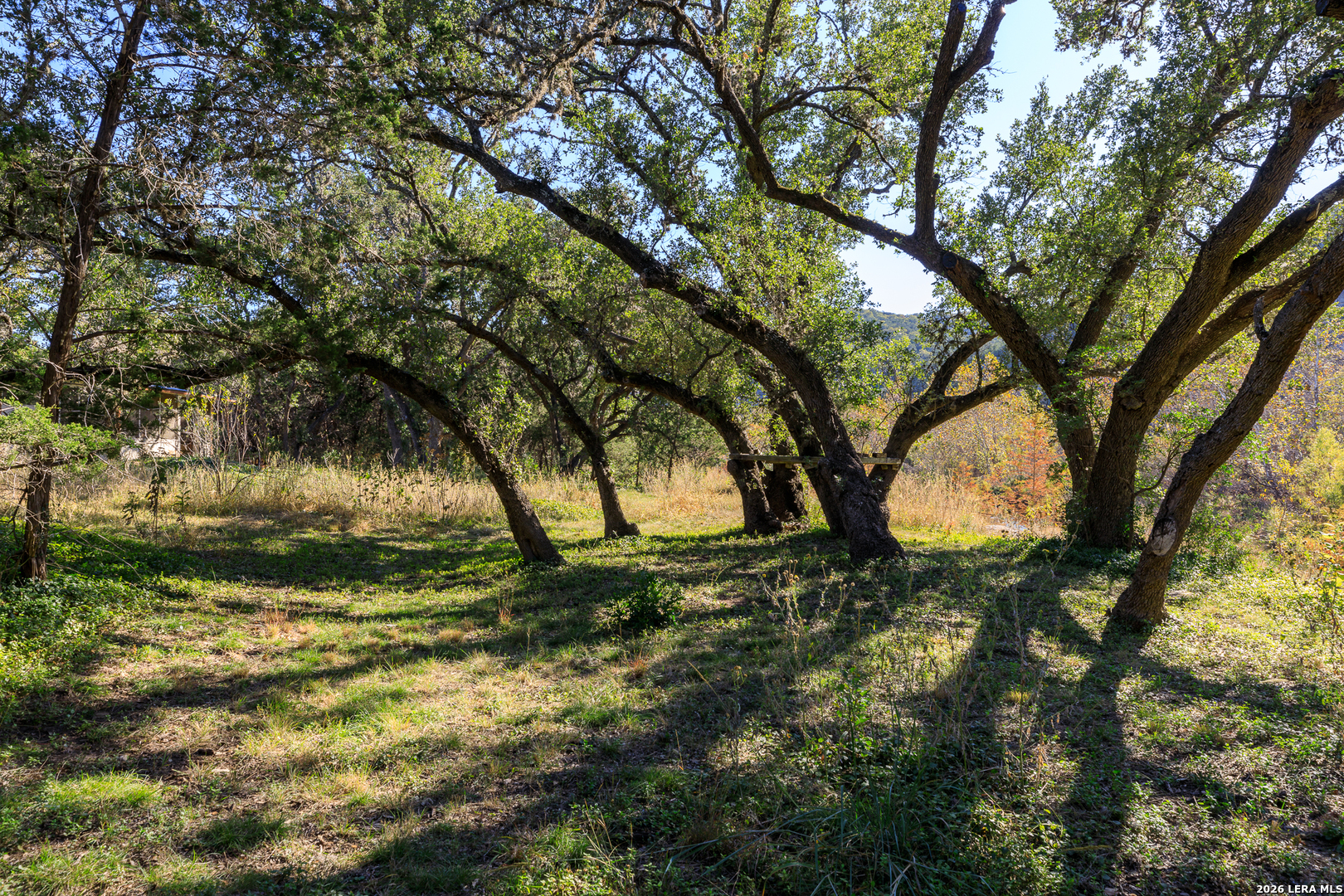 2269 Old Rocksprings Road Leakey, TX 78873 - Photo 40 of 50 a view of outdoor space and yard