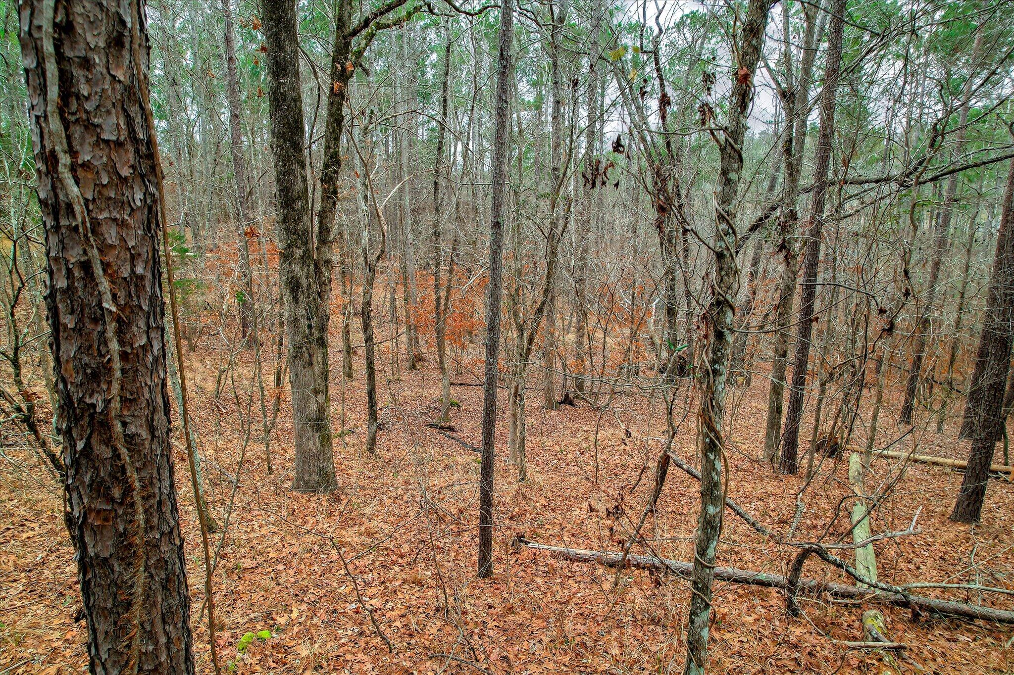 Lot K-18 Lot K-18 Collin Reeds Road Edgefield, SC 29824 - Photo 6 of 24