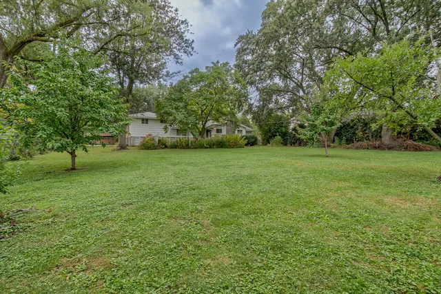 a view of a grassy field with trees