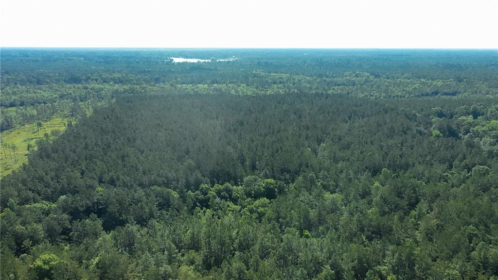 25281 Cleland Road Covington, LA 70435 - Photo 11 of 23