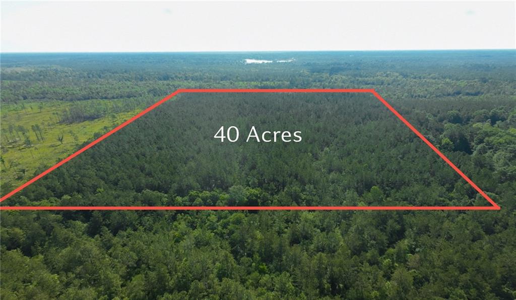 25281 Cleland Road Covington, LA 70435 - Photo 12 of 23