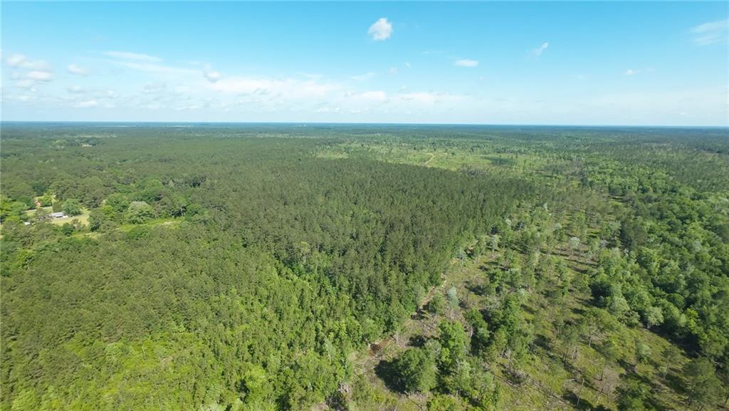 25281 Cleland Road Covington, LA 70435 - Photo 13 of 23