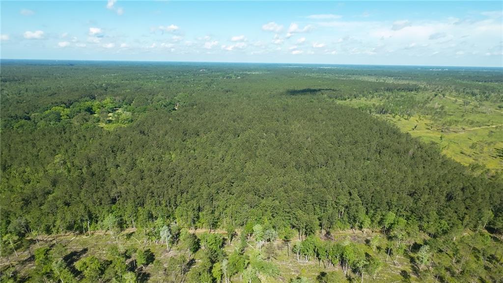 25281 Cleland Road Covington, LA 70435 - Photo 14 of 23