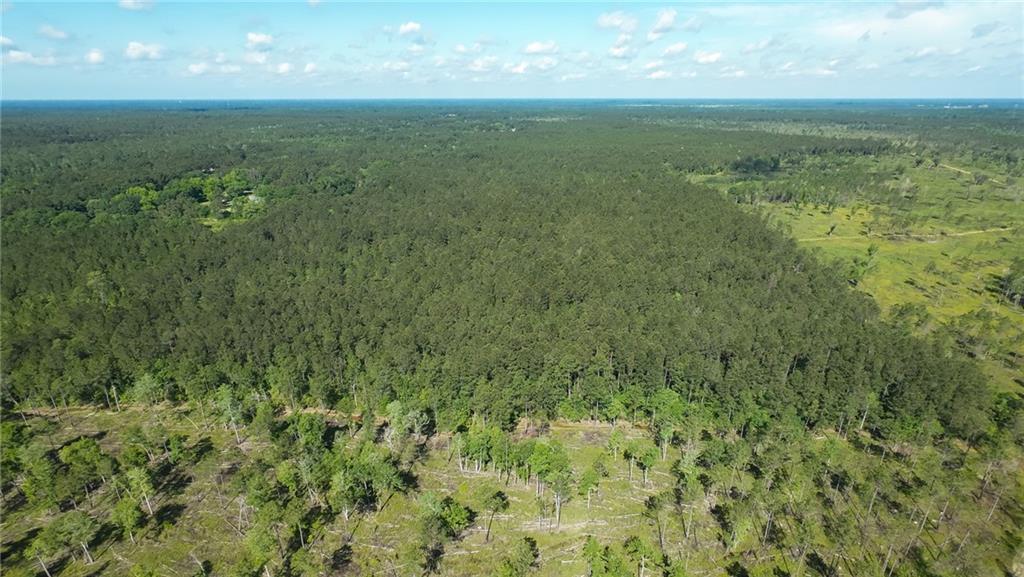 25281 Cleland Road Covington, LA 70435 - Photo 15 of 23