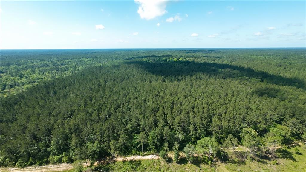 25281 Cleland Road Covington, LA 70435 - Photo 16 of 23