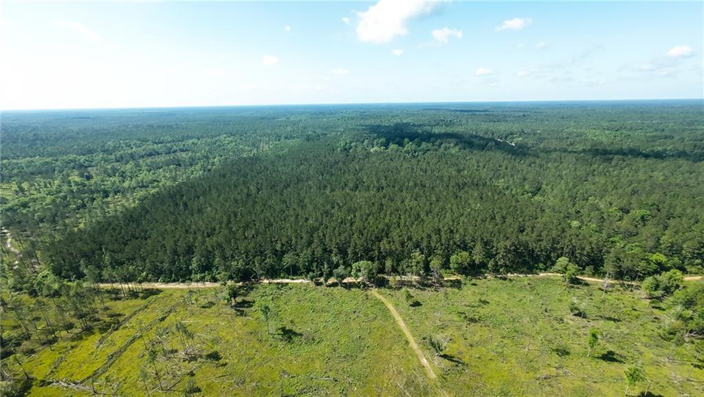 25281 Cleland Road Covington, LA 70435 - Photo 17 of 23